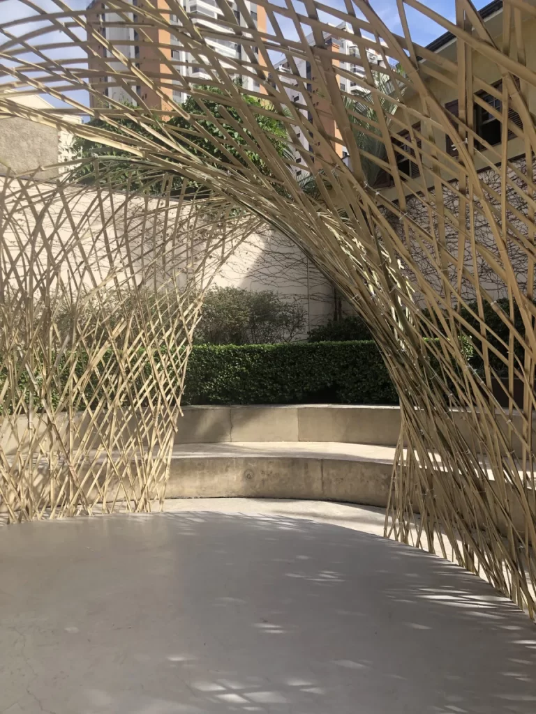 Imagem publicada em belas bamboo