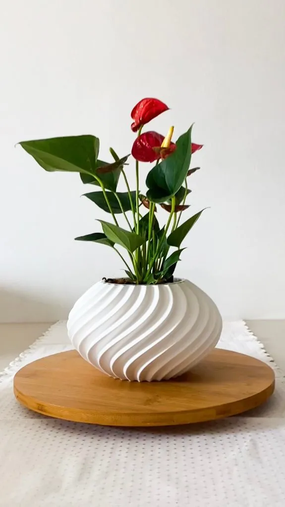 Imagem publicada em Bio Vase