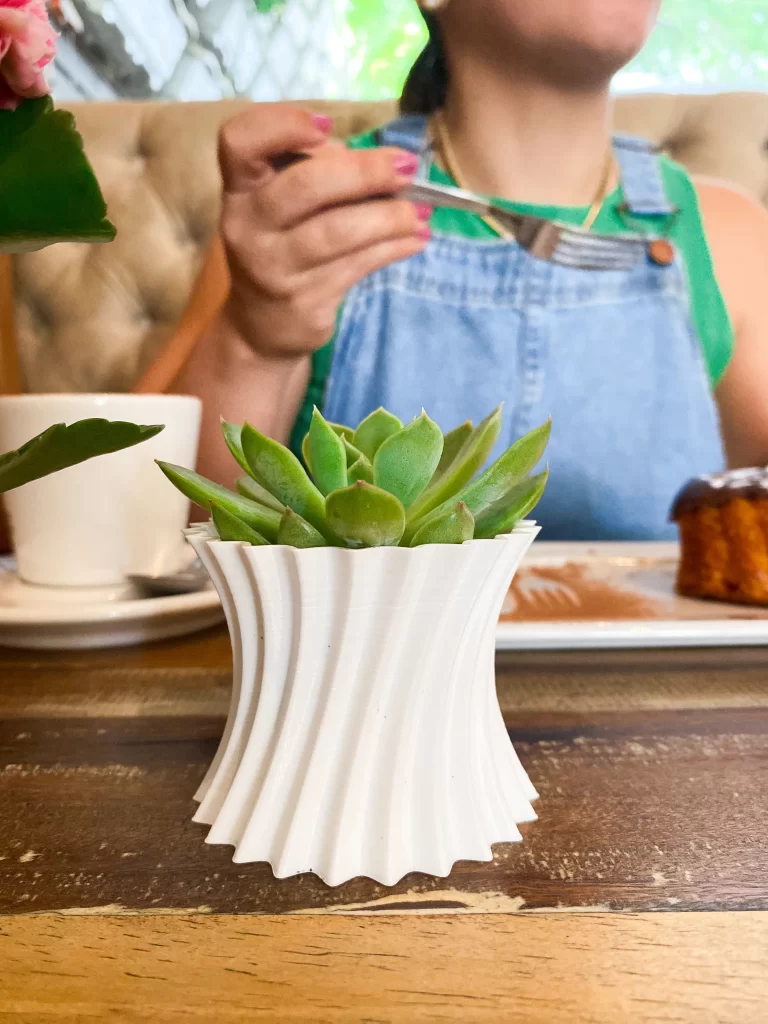 Imagem publicada em Bio Vase